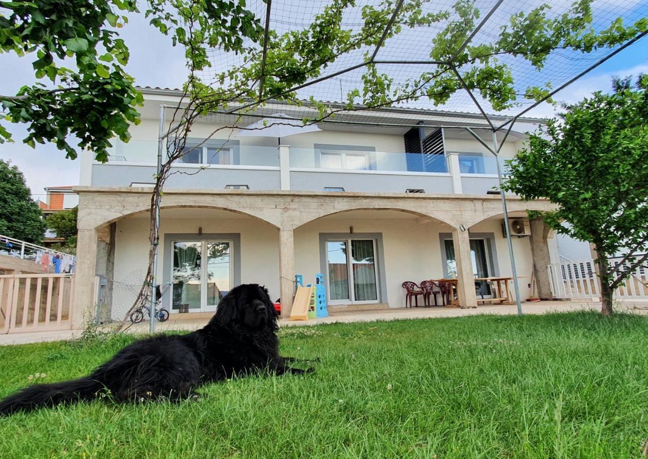 Apartmani Naomi&Leo セニ エクステリア 写真